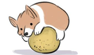 Abby Haslar's profile