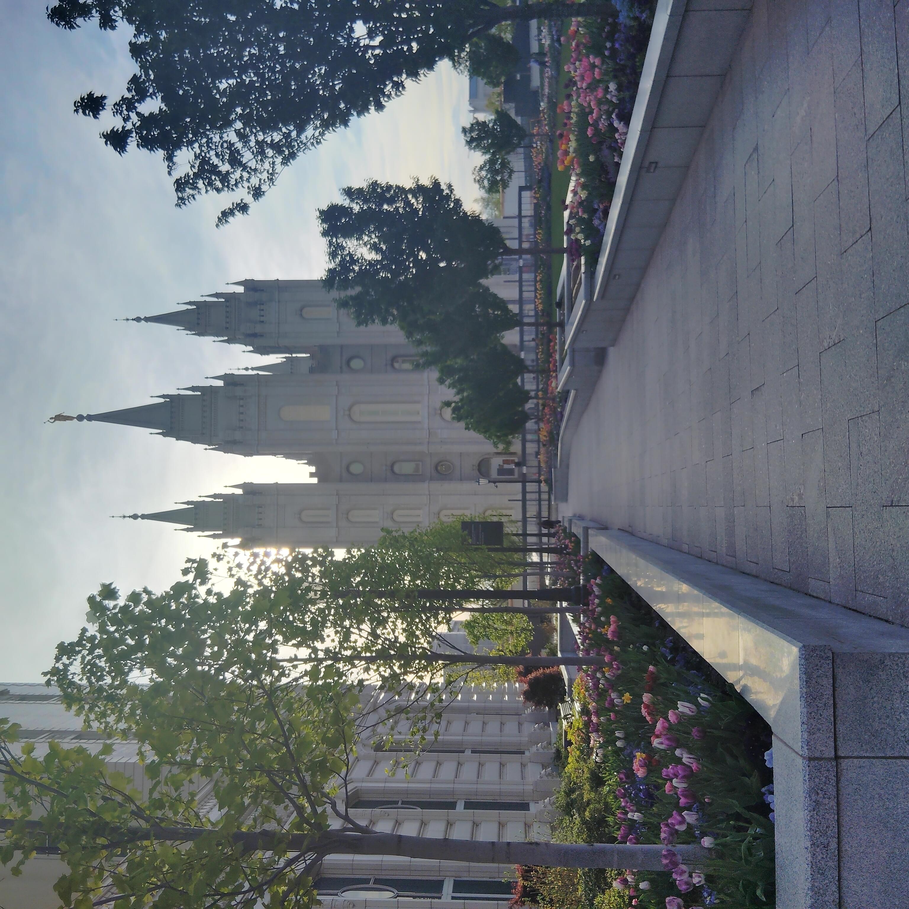 Angelica Huerta Mena's banner