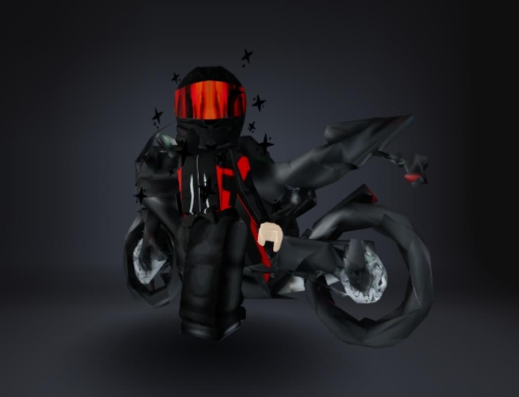 Biker Girl's banner
