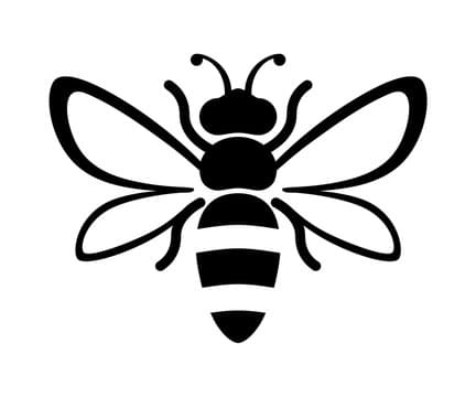 Cameron Bailey's banner