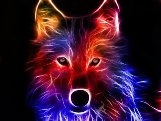 Djwolf 1234's profile