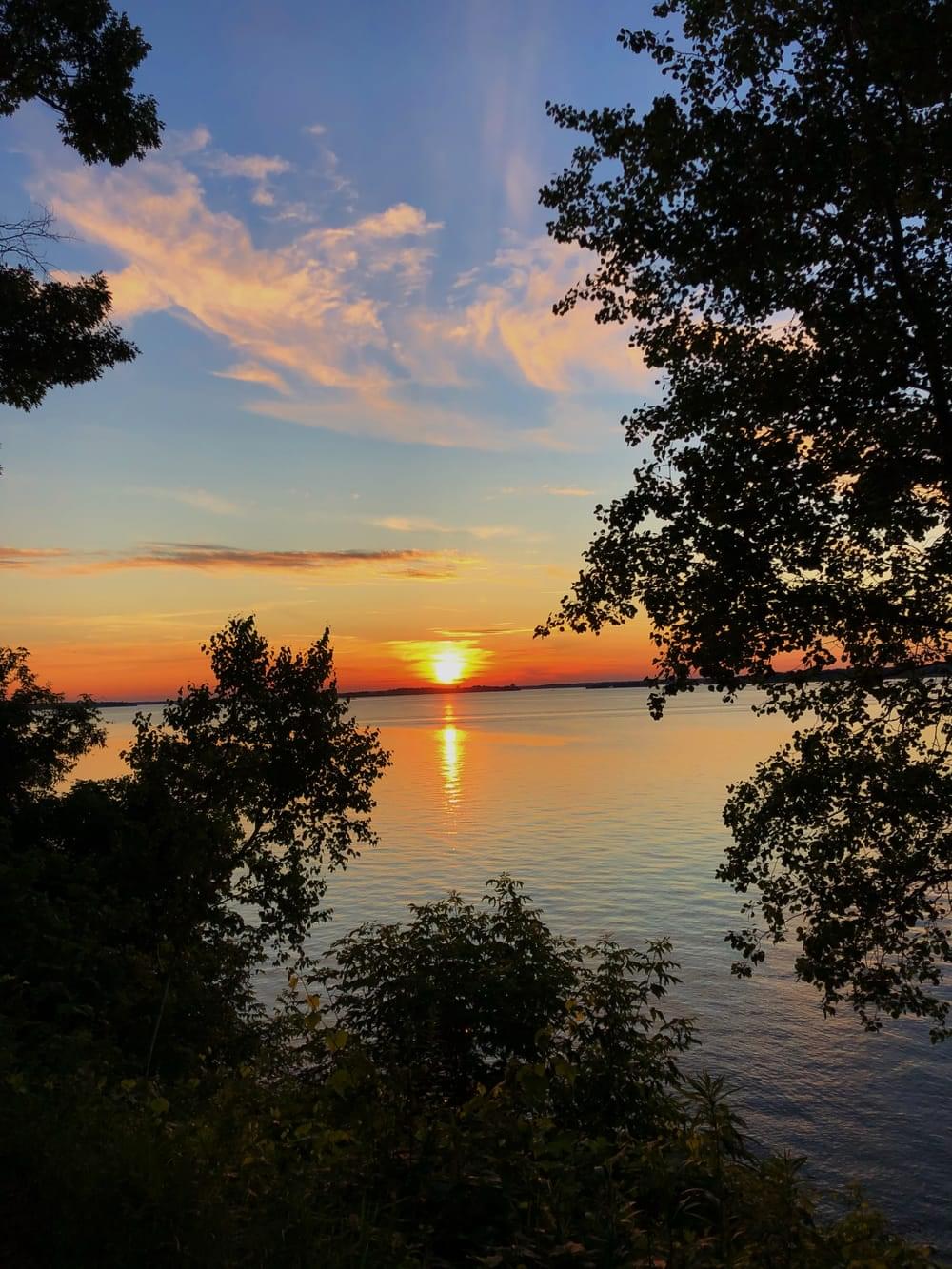 Elijah Gibson's banner