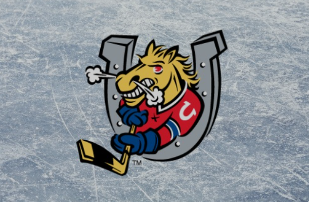 Jake Bérubé's profile