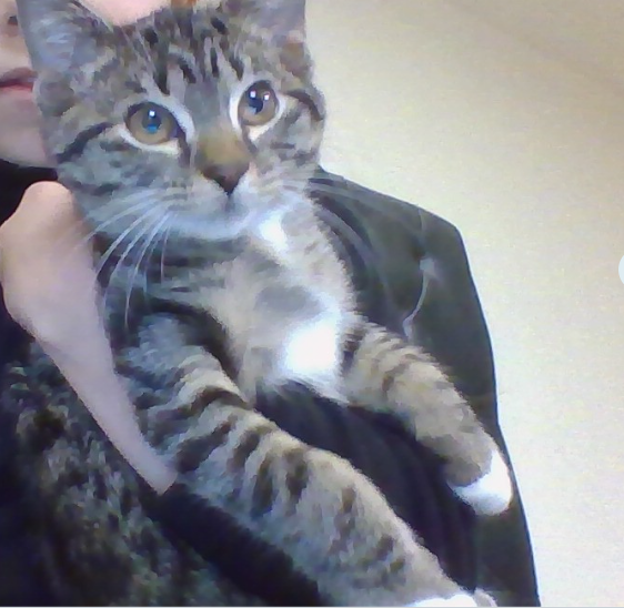 Jwaan Mohammad's profile