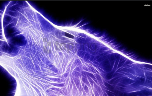 Katey Gozales's profile