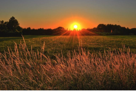 Keith Bradbury's banner