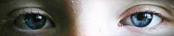 Lana Rose's banner