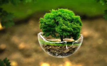 Love Nature's profile