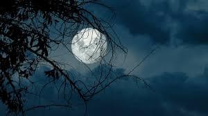 Midnight Reaper's banner