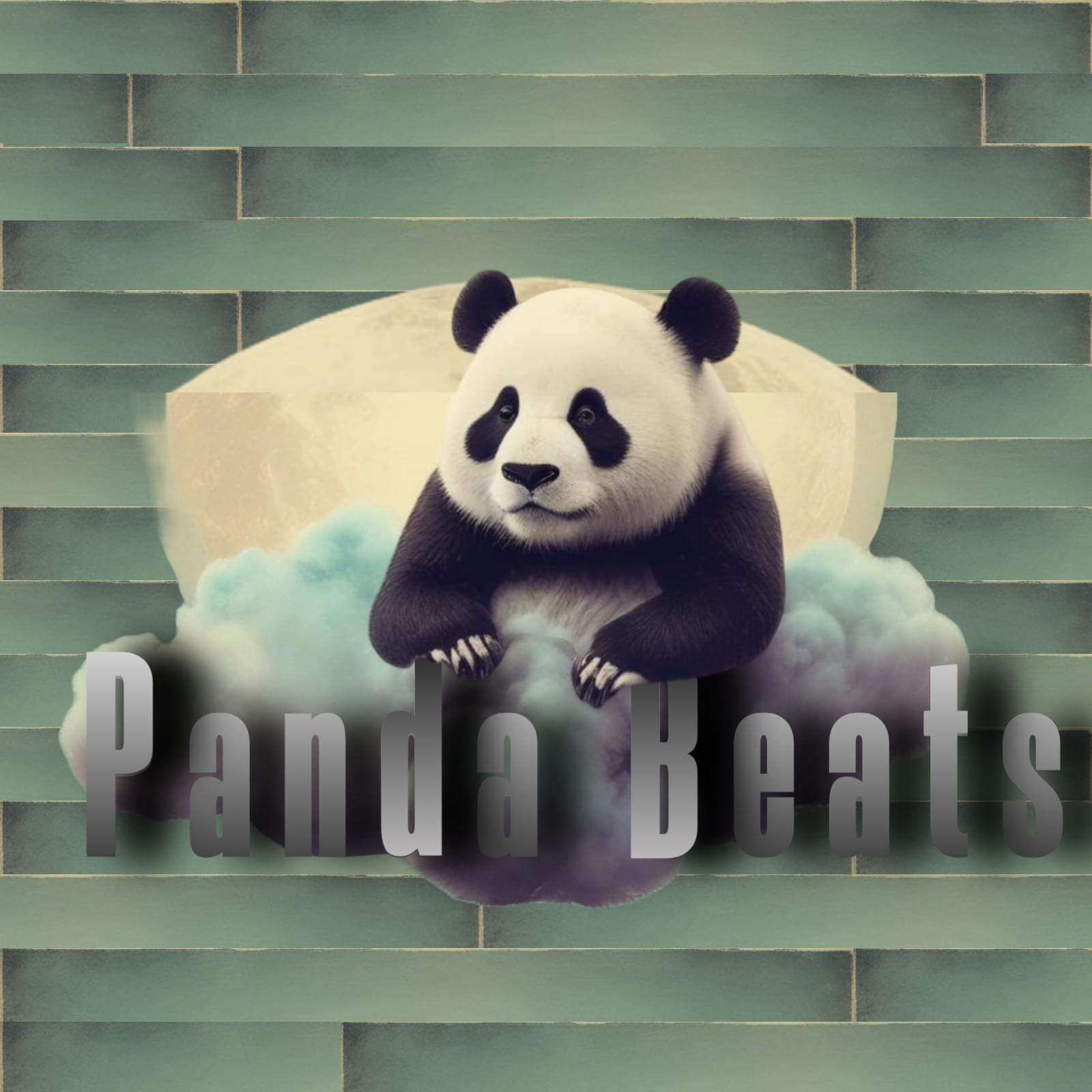 Panda Beats™️'s profile