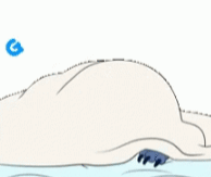 Quinn Davis's banner