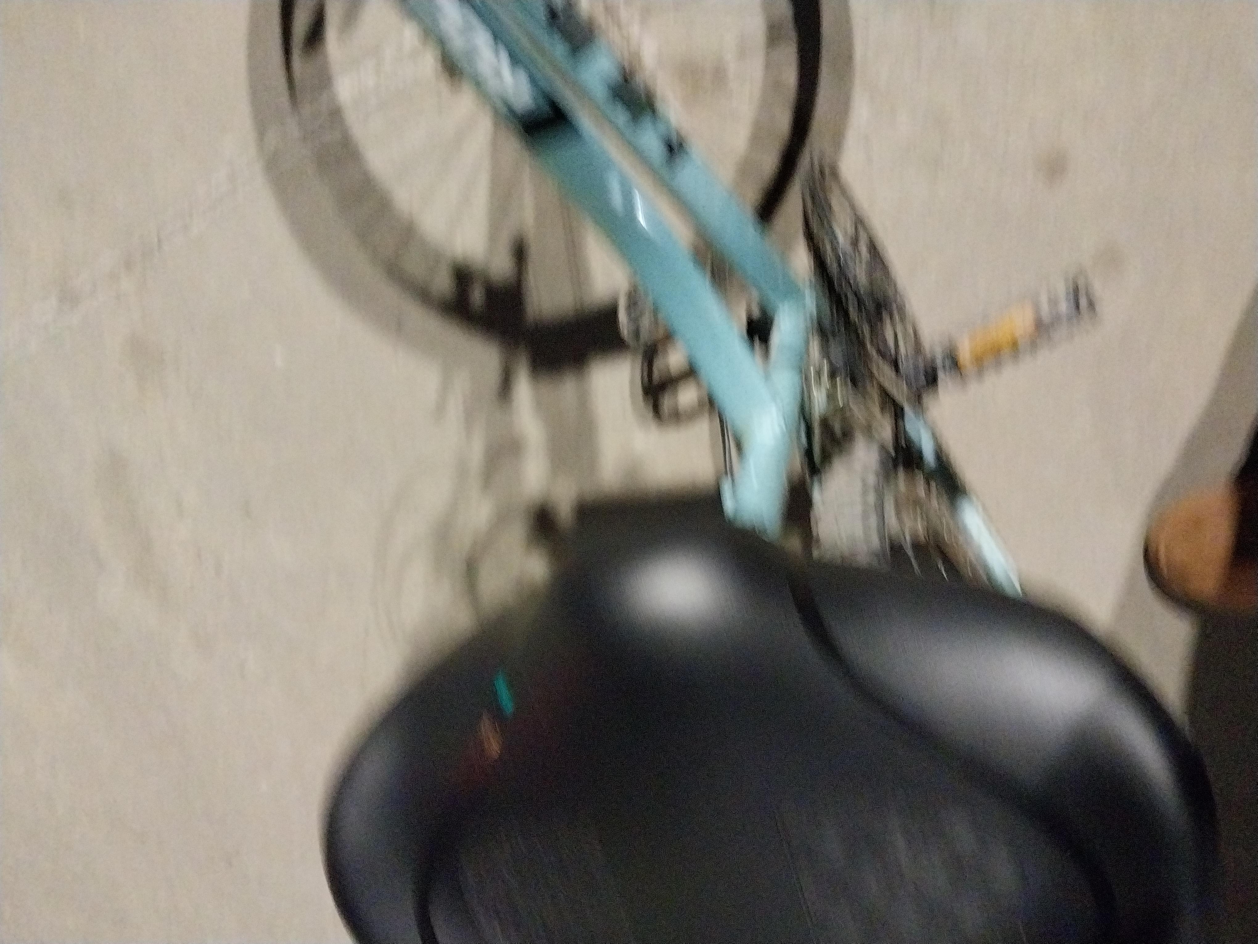 Riley Hartle's banner