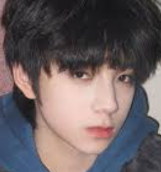 Wang Lujie's profile