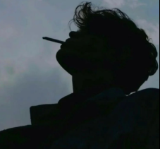 Wilhelm Hoff's profile