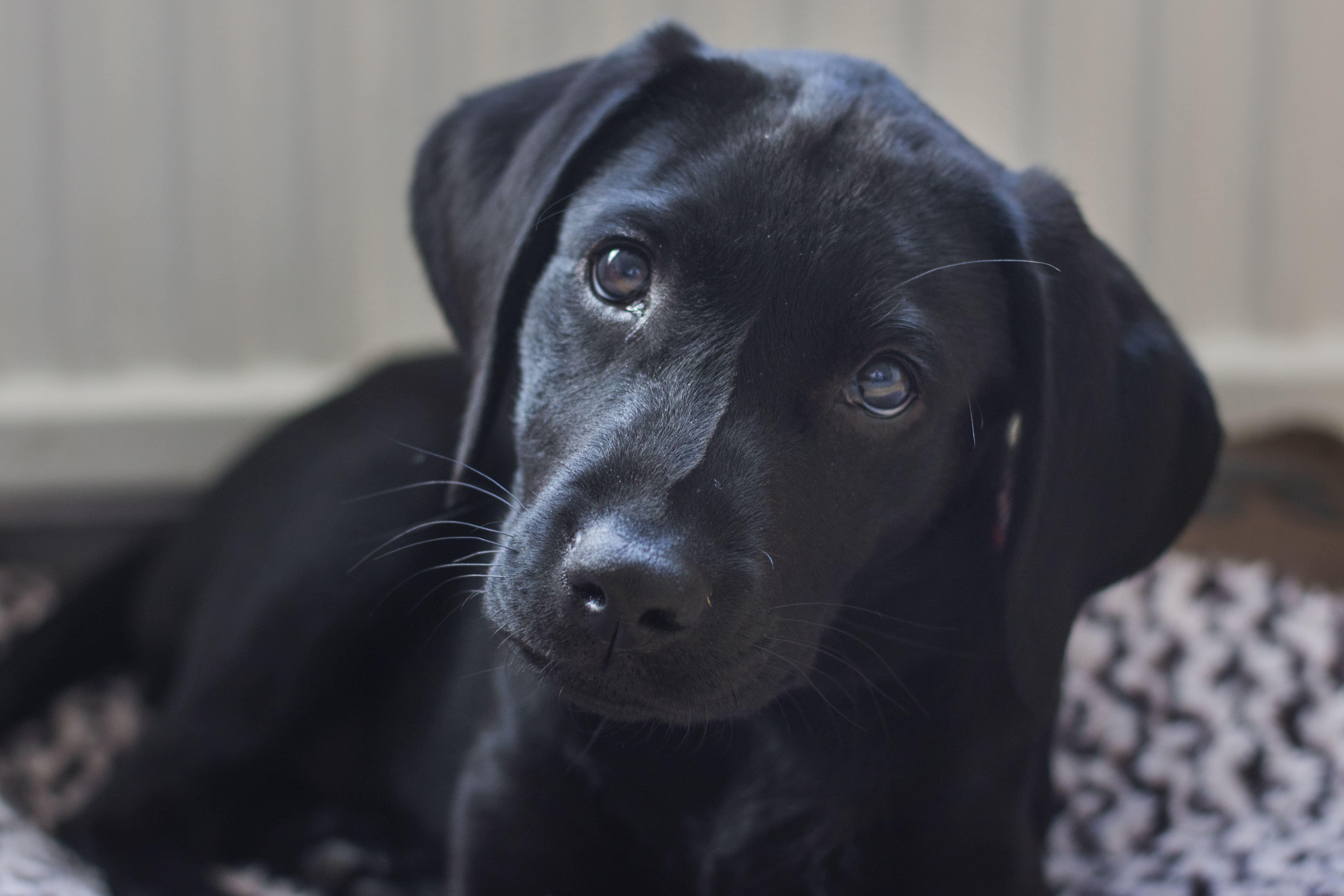 Willow Harper's profile