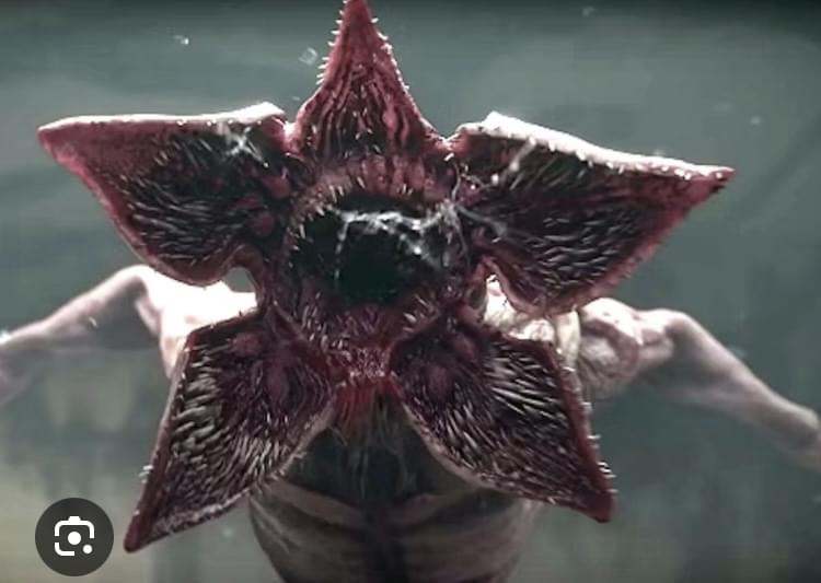 Wyatt Harper's banner