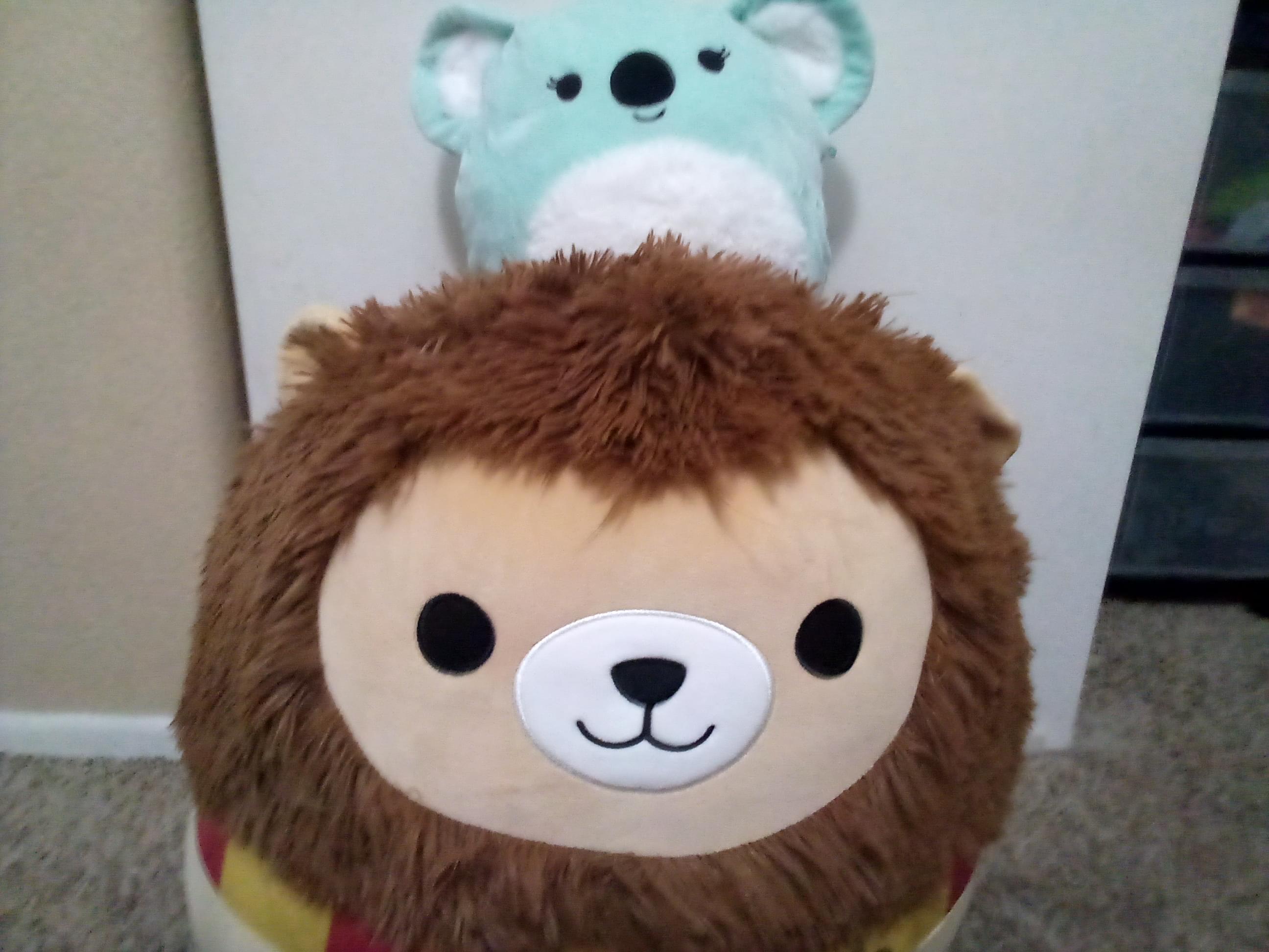 Wyatt Queen's profile