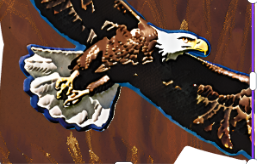 Yashar Gross's profile