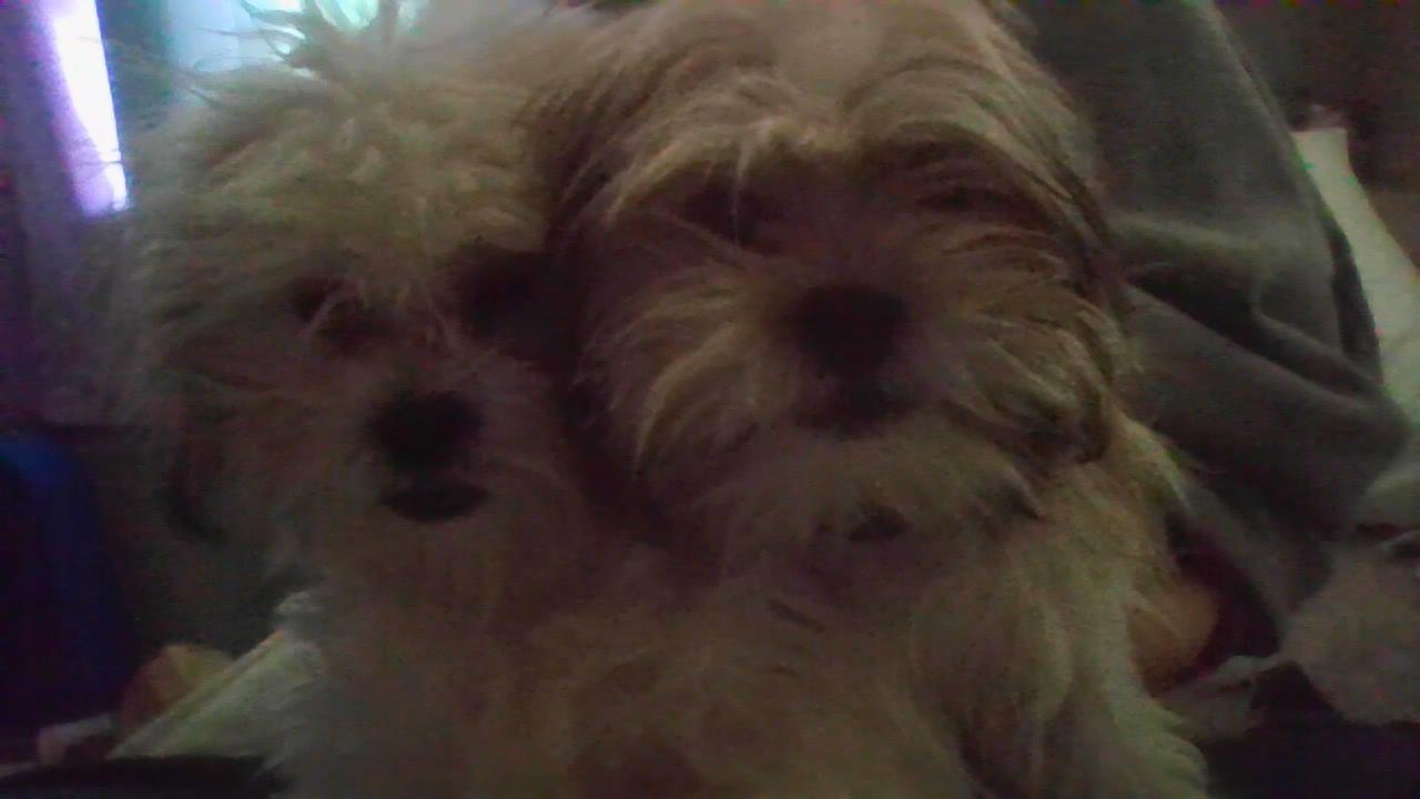 GLOCKA🥀YN's profile