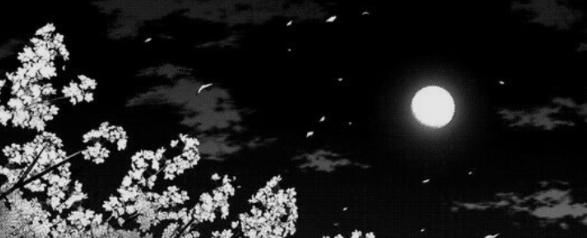 ୨୧ Mj ୨୧ ....'s banner
