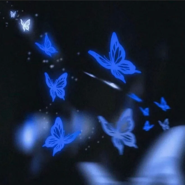 𝕶𝖆𝖗𝖎𝖓𝖆 𝖄𝖆𝖓𝖌's banner